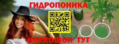 ешки Можга