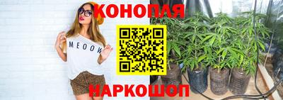 PSILOCYBIN Моздок