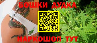 ешки Можга