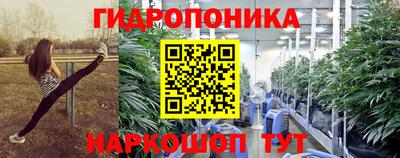 PSILOCYBIN Моздок