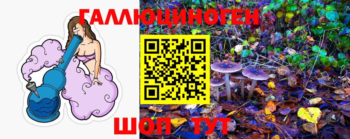 Галлюциногенные грибы Cubensis  Вход с VPN  Сосновоборск 